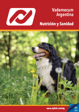 Catálogo de Productos - Español Internacional