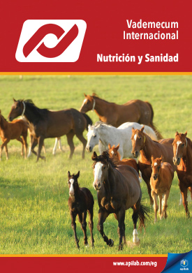 Catálogo de Productos - Español Internacional