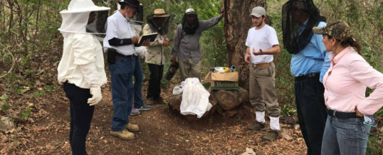 Apilab en El Salvador